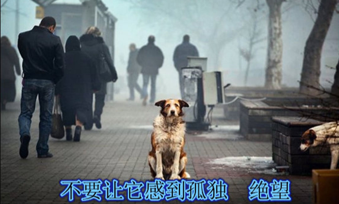 烟台烟台爱影圈微博微信转发案例